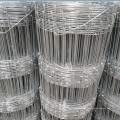 Galvanized Grassland Fence/ Field Fence/ Farm Fence/ Cattle Fence